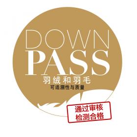 DOWNPASS e.V.’s FIRST TRADE FAIR IN CHINA