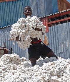  World Cotton Day am 7. Oktober: Zum ersten Mal in der Geschichte der Baumwollindustrie