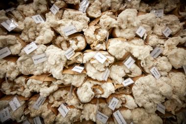  World Cotton Day am 7. Oktober: Zum ersten Mal in der Geschichte der Baumwollindustrie