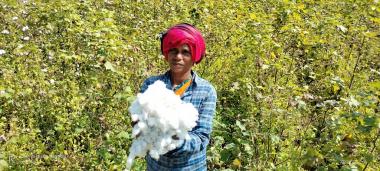Dibella ist Initiator des Pilotprojekts „Organic Cotton“