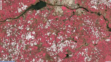 Dieses Bild aus der CoCuRA-Software zeigt, wie sie konventionelle Baumwolle, Bio-Baumwolle und andere landwirtschaftliche Felder identifiziert. Weiß eingefärbt sind alle Baumwollanbauflächen, grün solche mit Biobaumwolle.