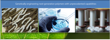 Kraig Biocraft Laboratories Inc.,