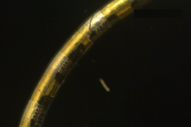 The NeuroString is just a quarter of a millimeter in diameter – about the width of a human hair – and can host hundreds to thousands of independent electronic channels that could be used to sense, stimulate, or monitor parts of the human body.