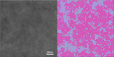 Scanning electron microscopy image (left) shows the surface of a porous asymmetric UF membrane created at Cornell by mixing chemically distinct block copolymer micelles. Machine-learning segmentation (right) identified patterns formed by different micelle types and chemistries, revealing how the approach could lead to UF membranes that sort by chemical affinity.