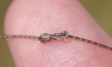 A piece of the fiber chip