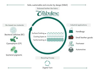 Infografik des Projekts. 