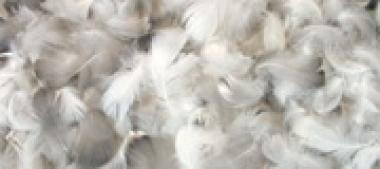 Advantages Of Down And Feather Bedding Textination